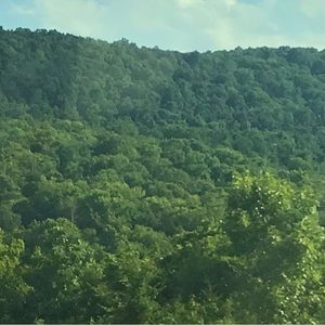 Meet your Posher, Bella Boyd